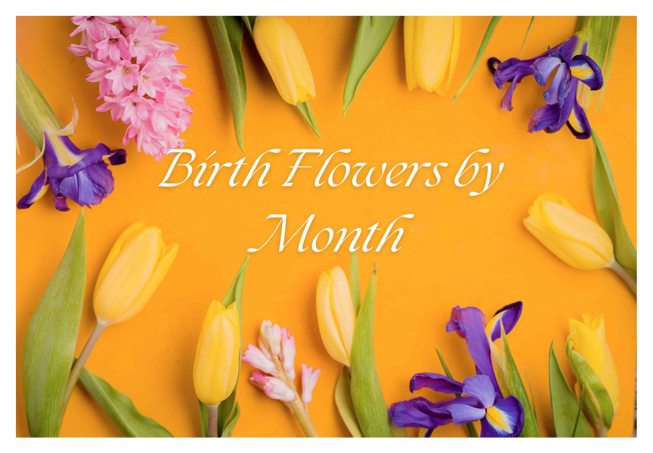 birth flowers by month