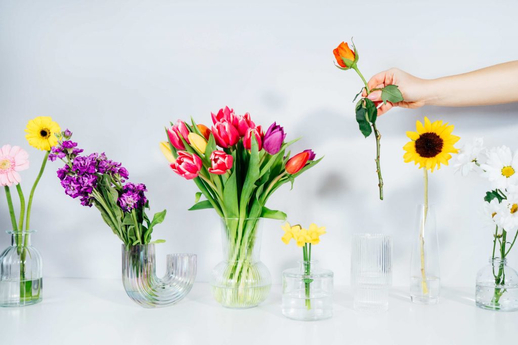 putting rose into vase in row with variation of different flowers in glass vases