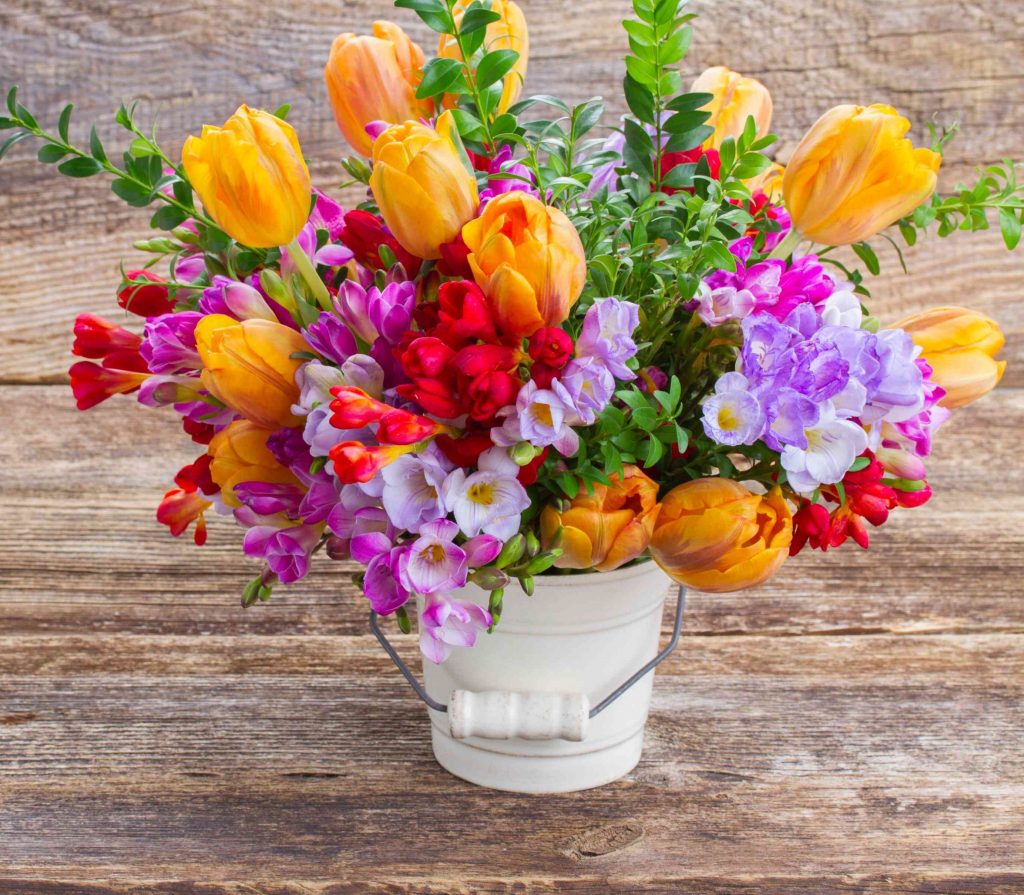 tulips and freesias