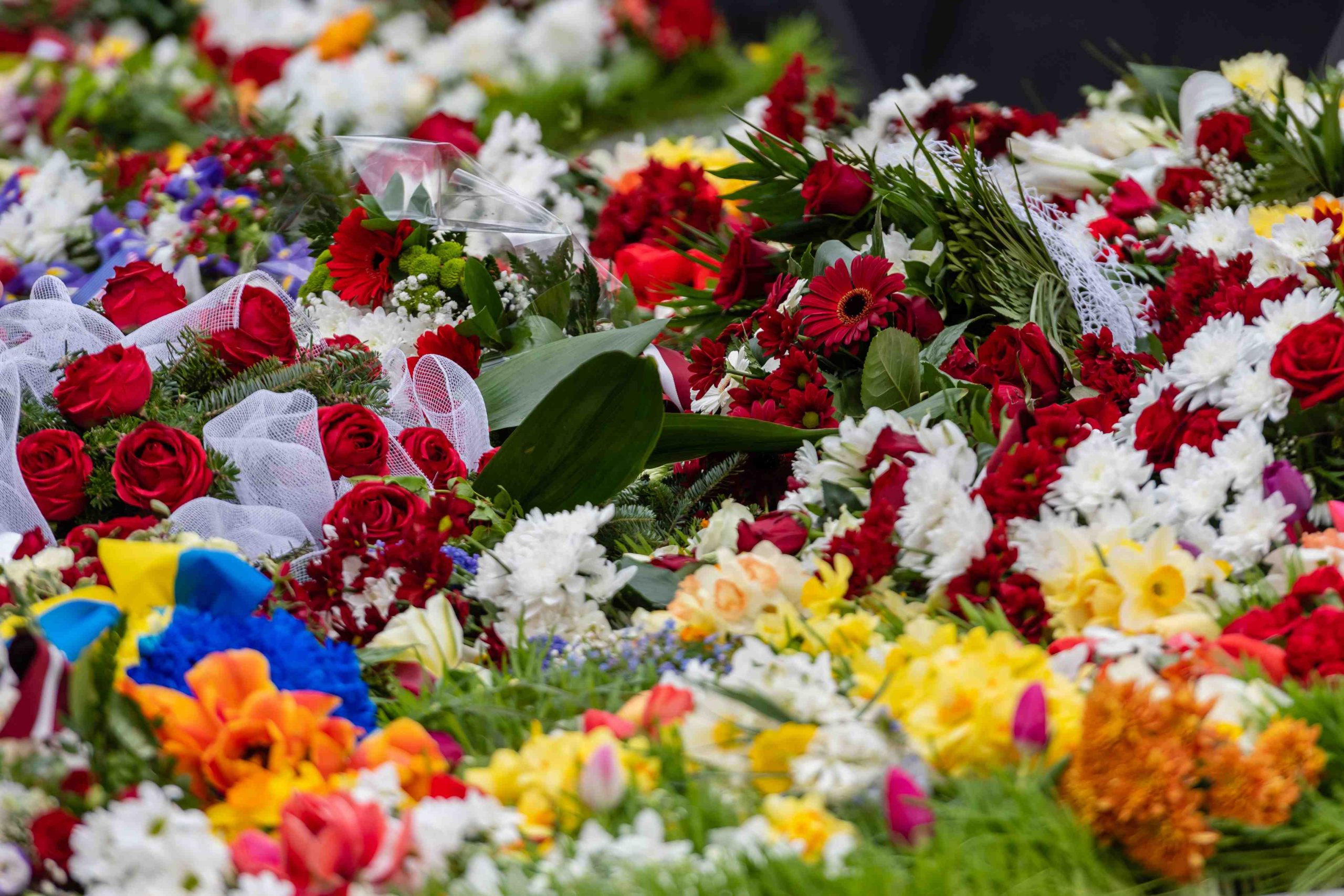 flower bouquets on the land