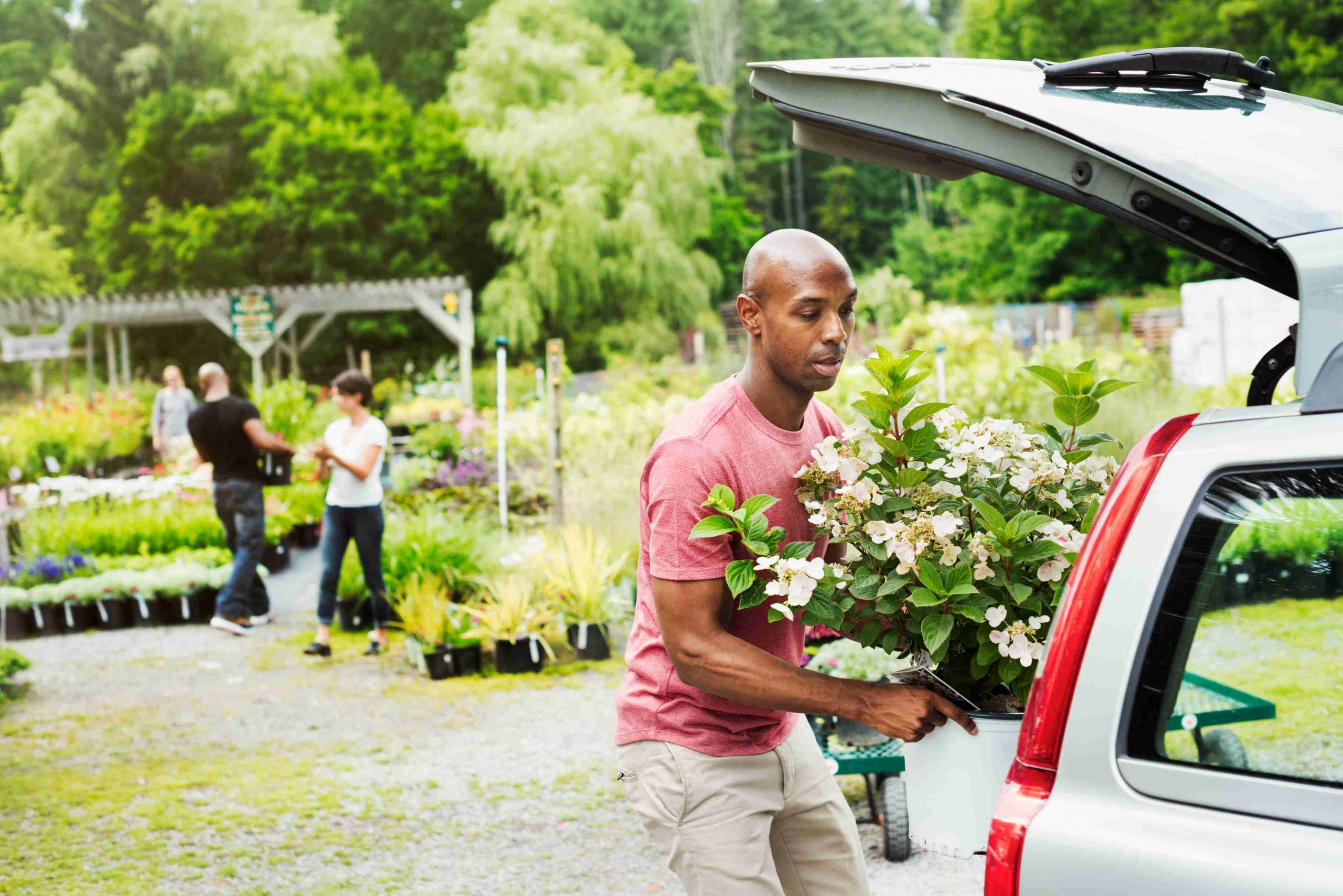 a man putting flowers in the car