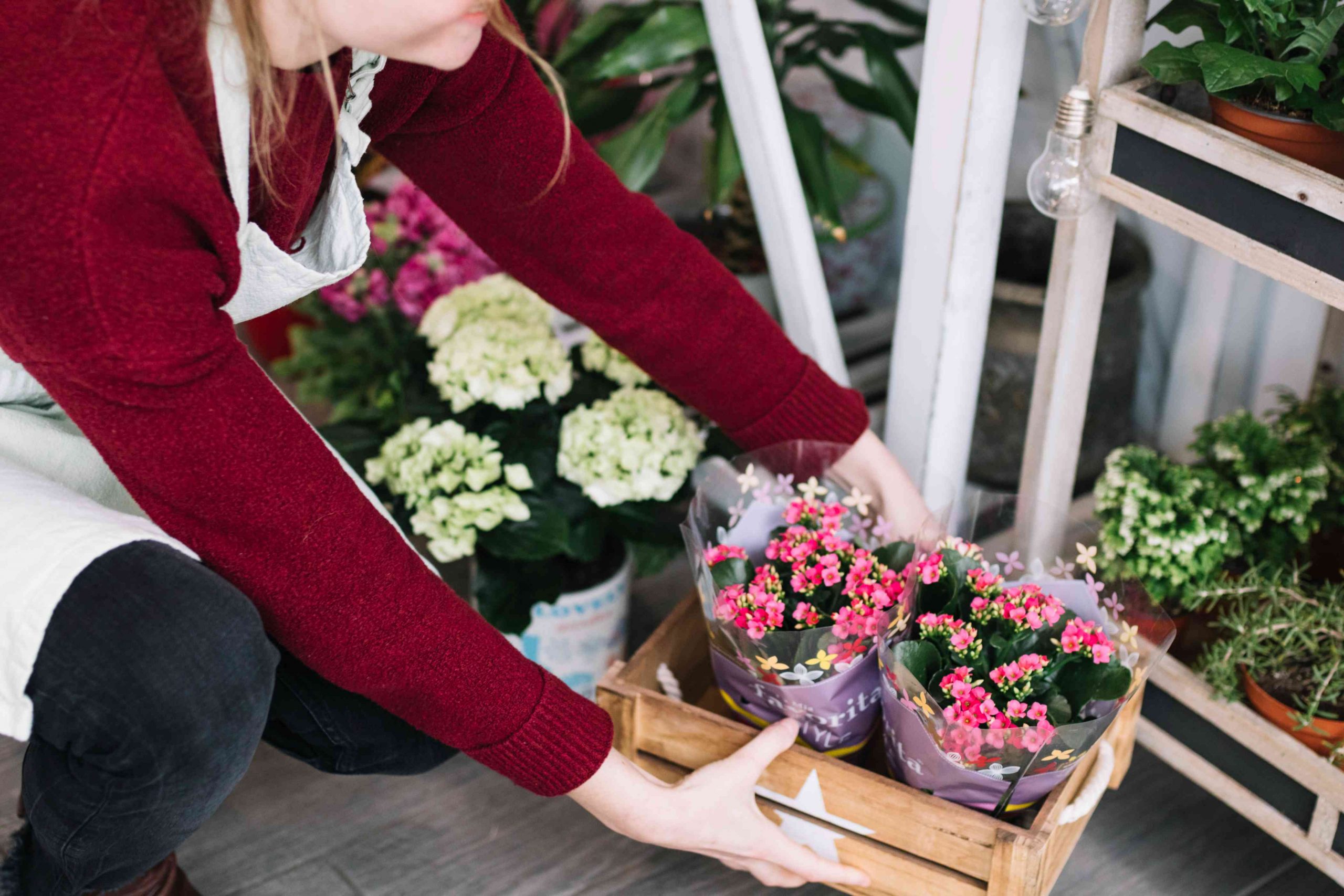 woman arranging flowers