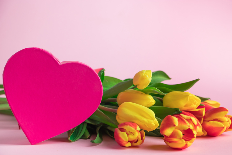 tulips and pink heart for valentines day