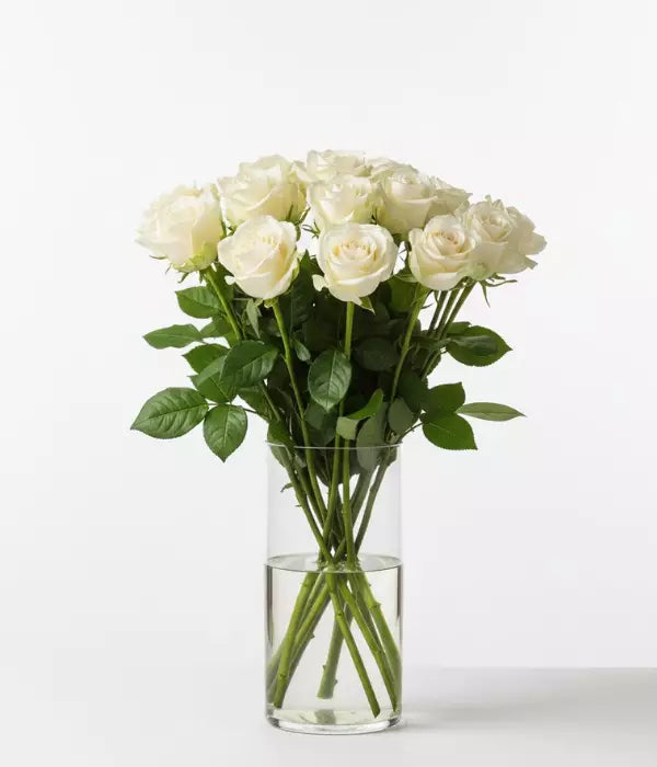 White roses for sympathy and funeral flower etiquette